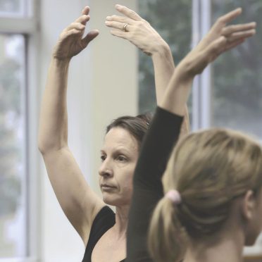 Ballet Divertimento - Formation grand public - Programme adulte
